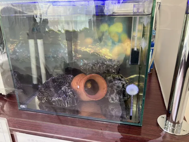 田中薬局羽鳥店3